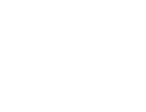 Bridgestone