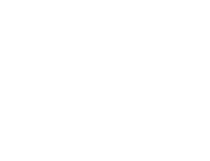 Capgemini