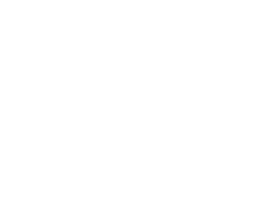 Geiger